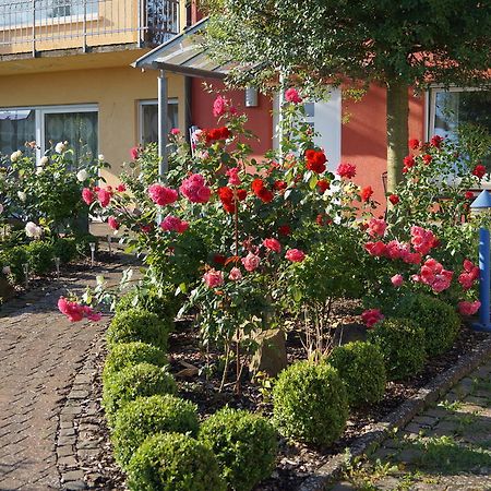 Ferienhaus Schloss-Garten Kapellen-Drusweiler Buitenkant foto