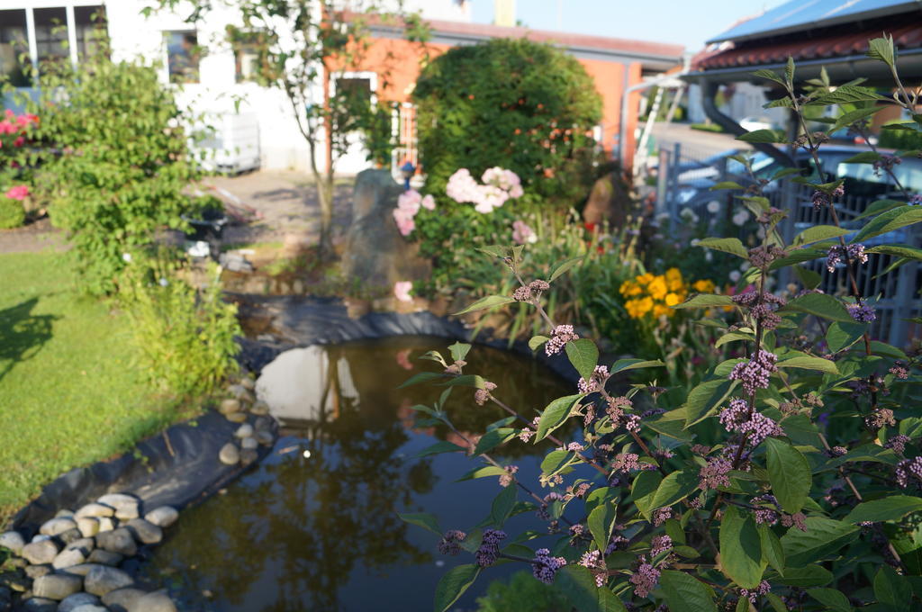 Ferienhaus Schloss-Garten Kapellen-Drusweiler Buitenkant foto